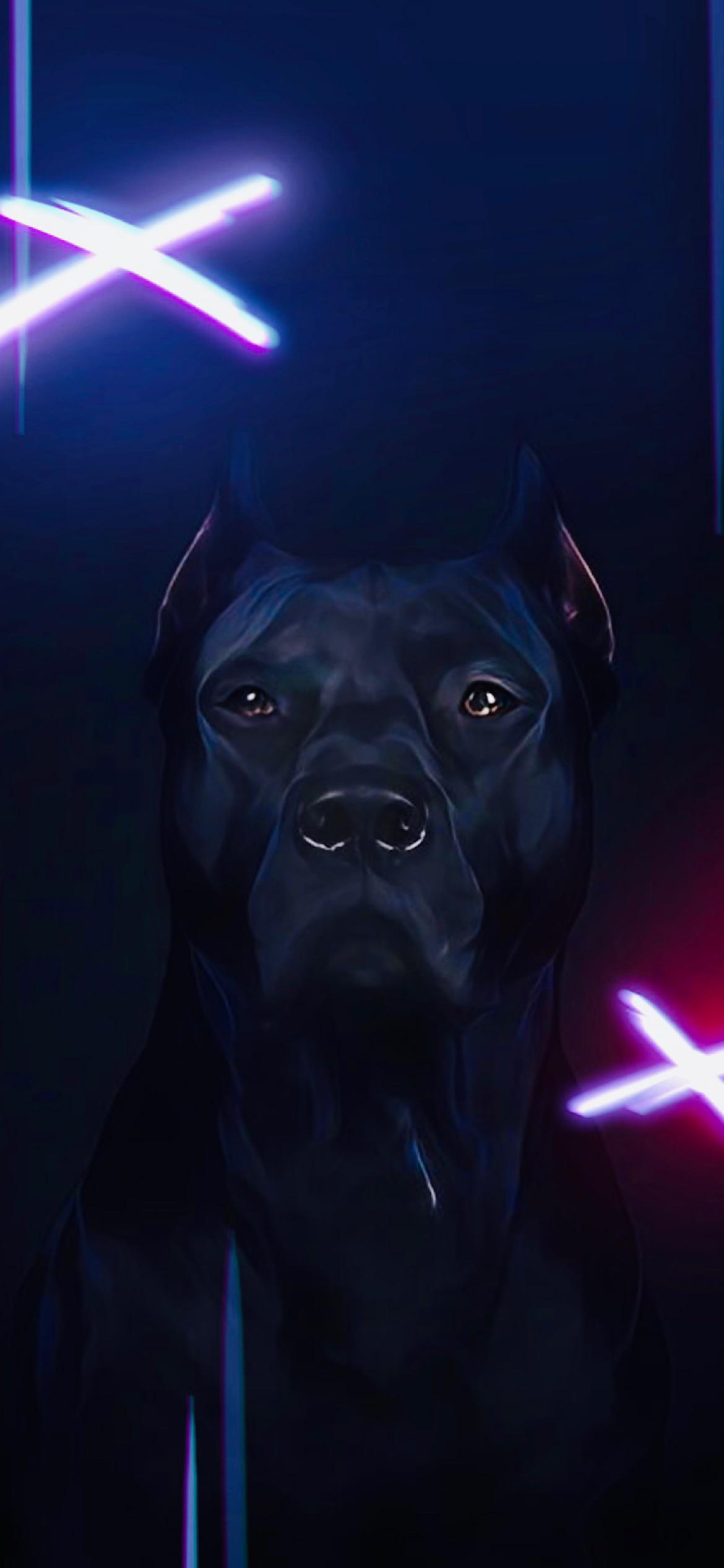 Black Pitbull Wallpaper