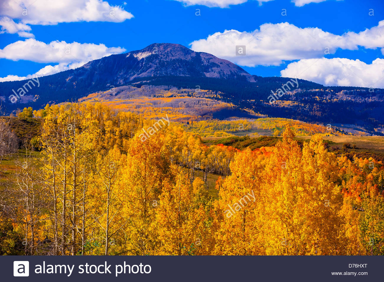 Fall Color Lone Cone Peak In Background Near Telluride Colorado