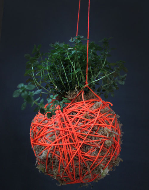 Kokedama String Moss Ball Hanging Plants