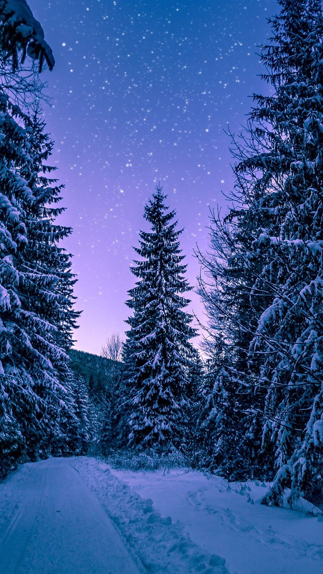 Winter Forest Phone Wallpaper