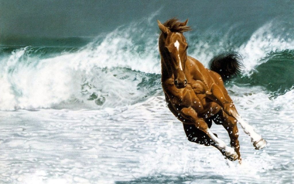 Horses on Beach Wallpaper - WallpaperSafari