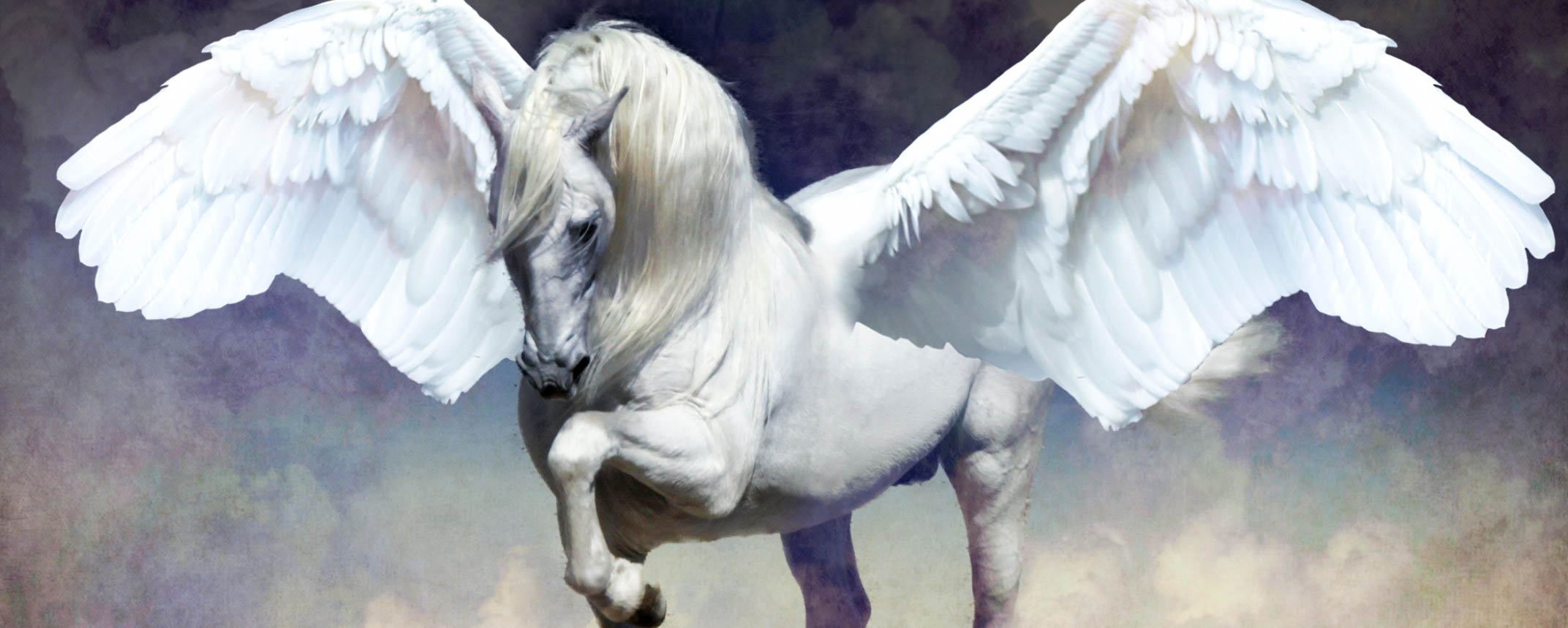 Pegasus Beautiful Wallpaper Image Desktop Background In