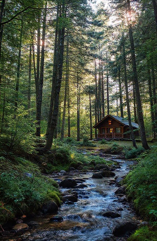 Nature Home Wallpaper