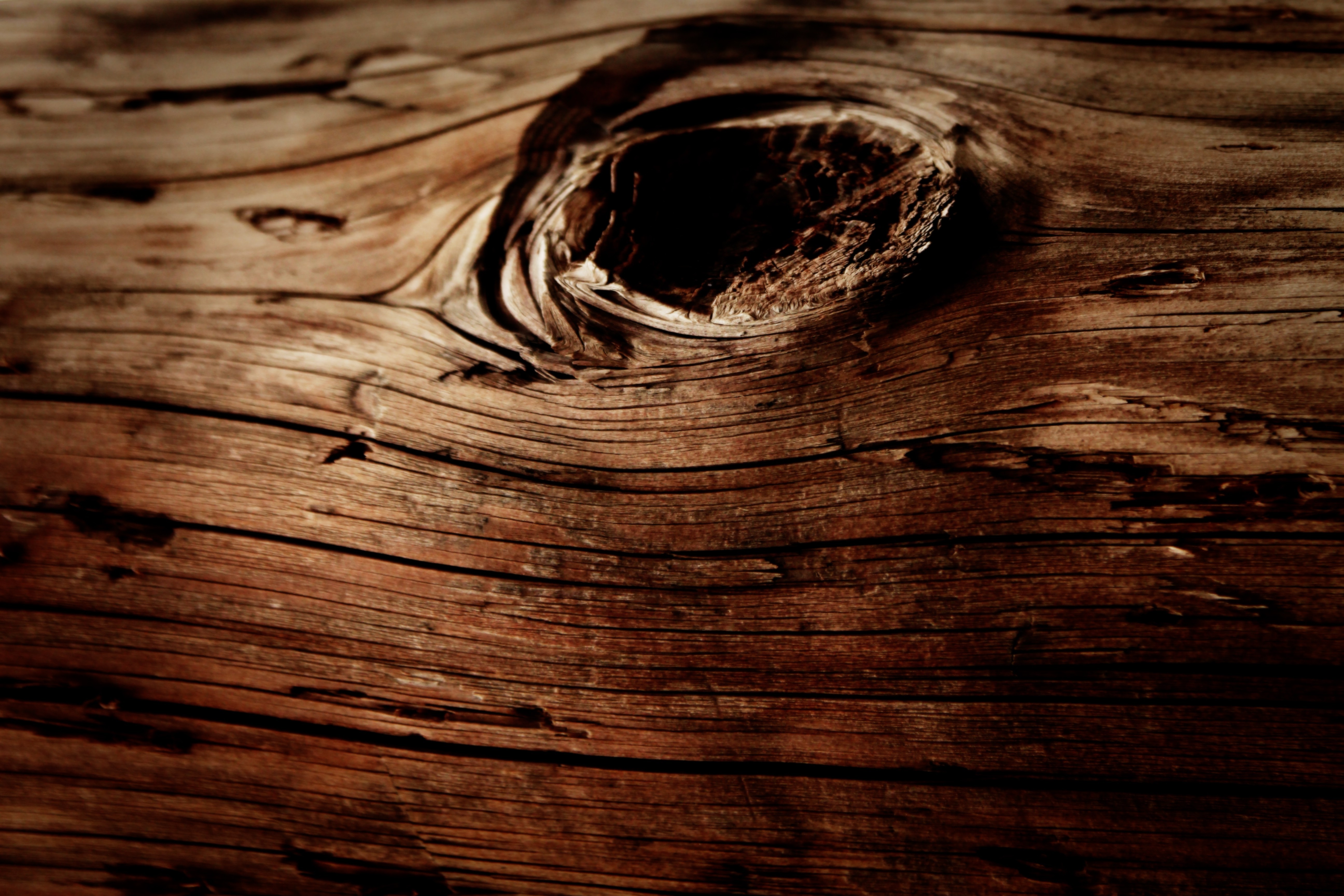 Wood Texture Macro Nature Wallpaper HD