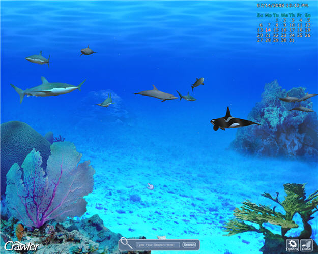 Marine Life Aquarium 3d Screensaver HD Walls Find Wallpaper