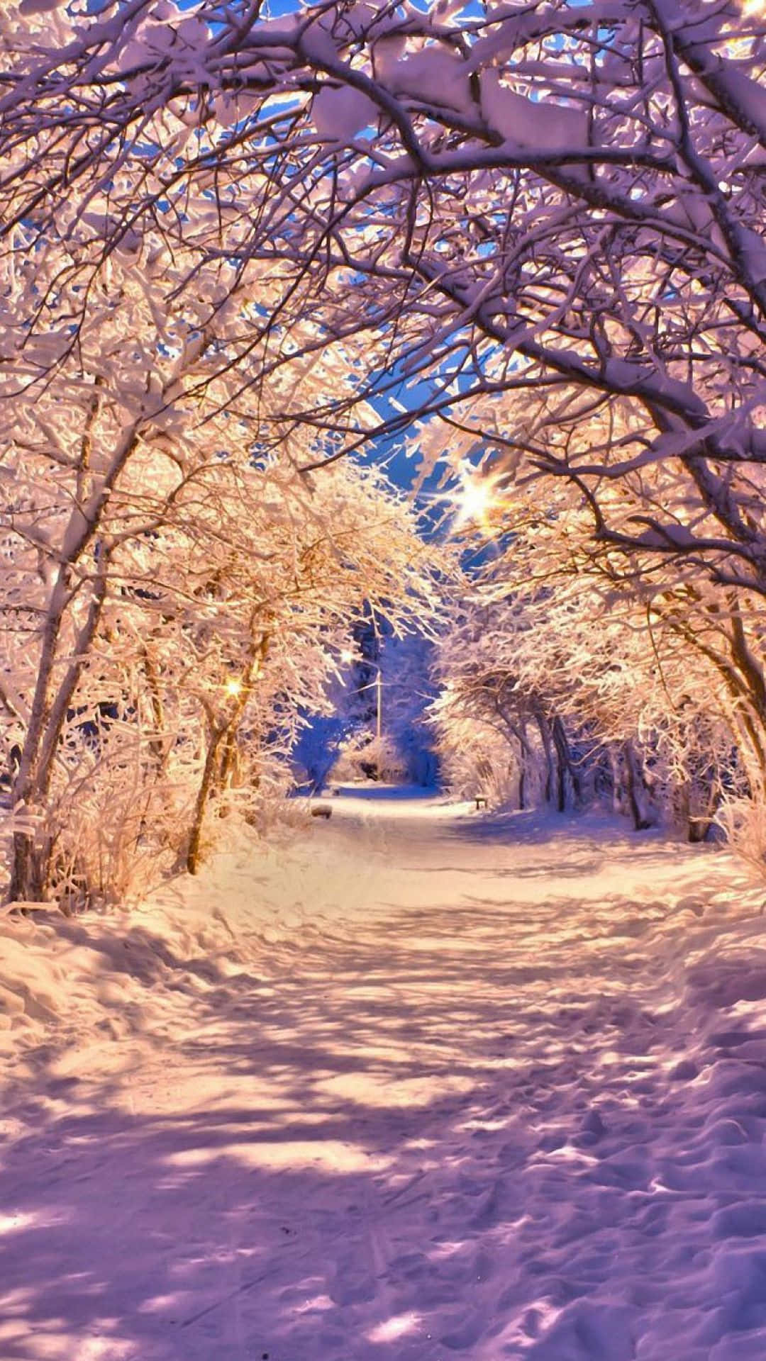 Snow iPhone Wallpaper