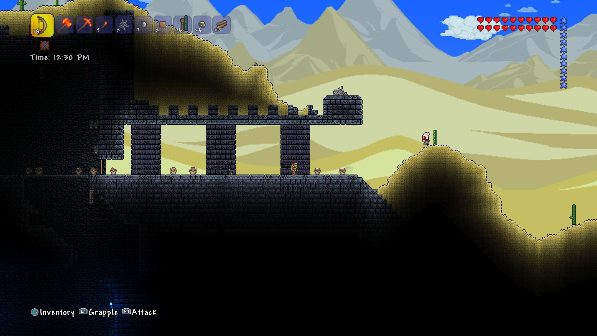 Terraria Game Ps4 Playstation