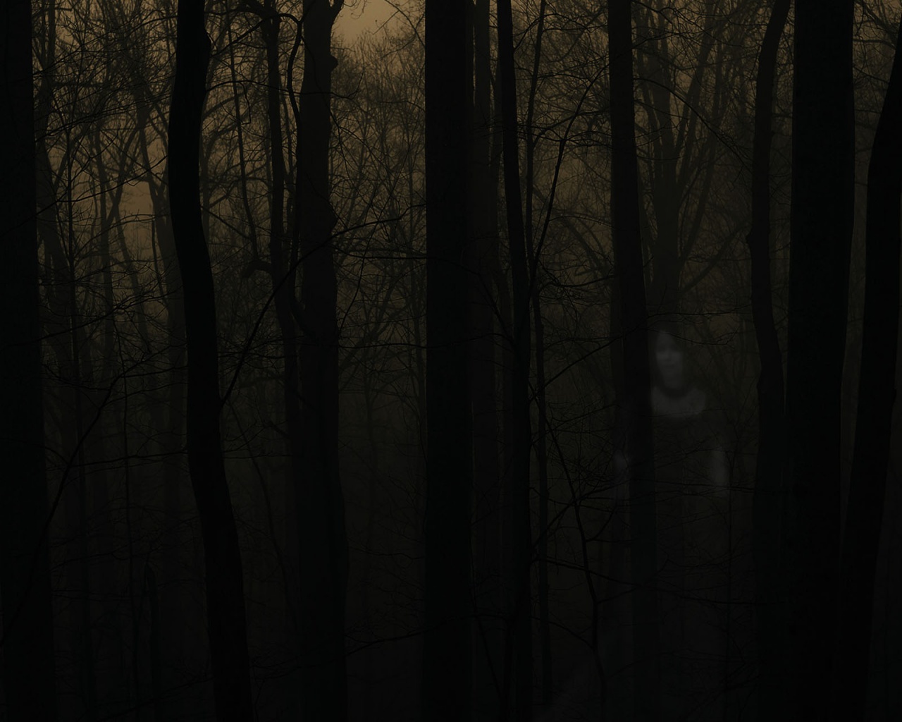 Haunted Forest Desktop Pc And Mac Wallpaper