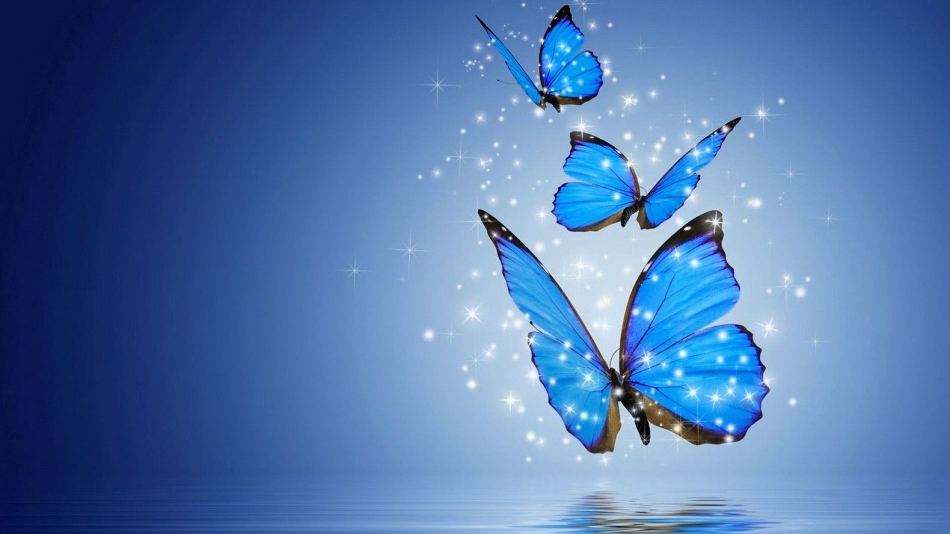 Puter Wallpaper Blue Butterfly Best HD