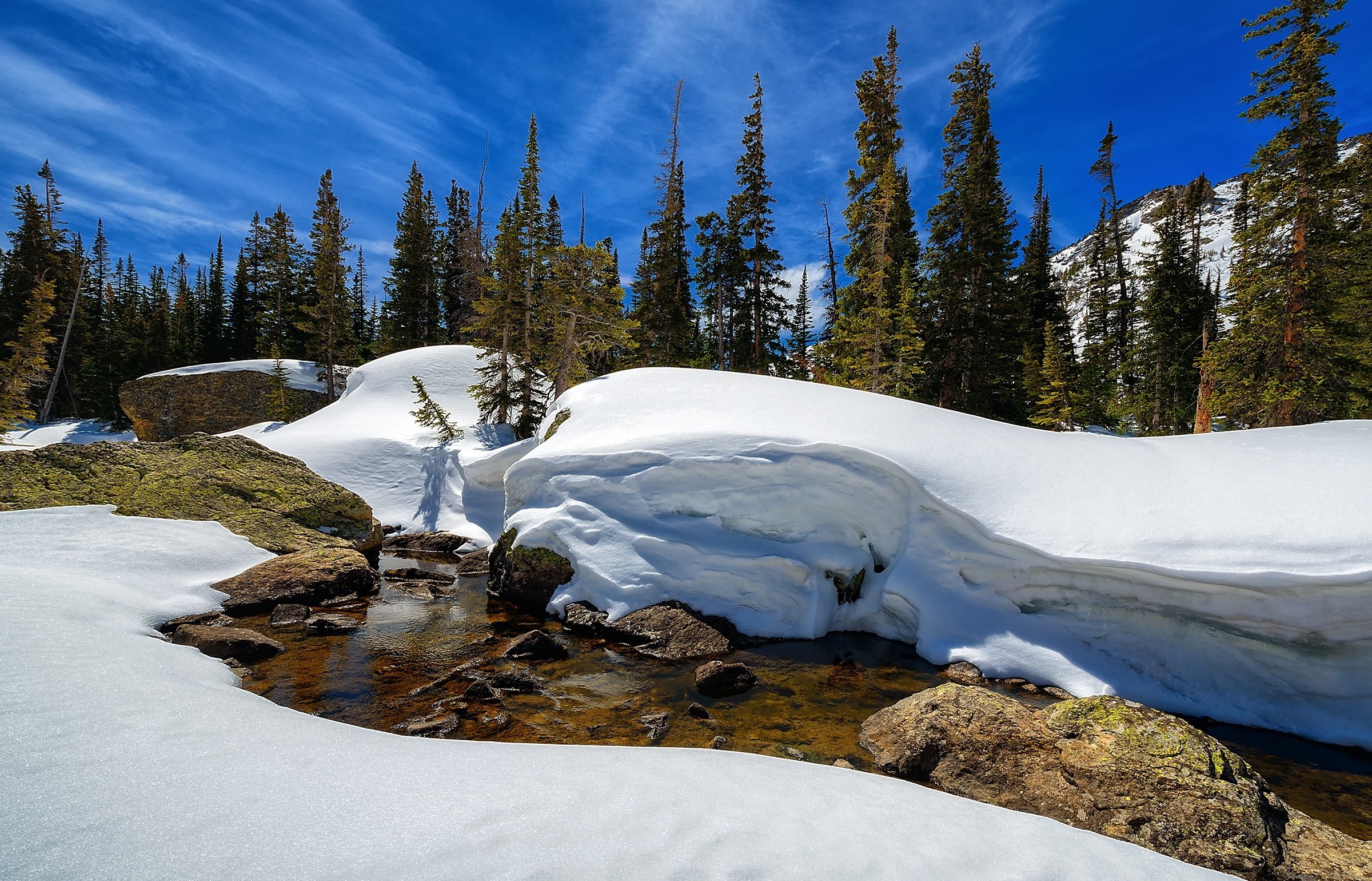 Rocky Mountain National Park Colorado Winter Trees Mountains Landscape