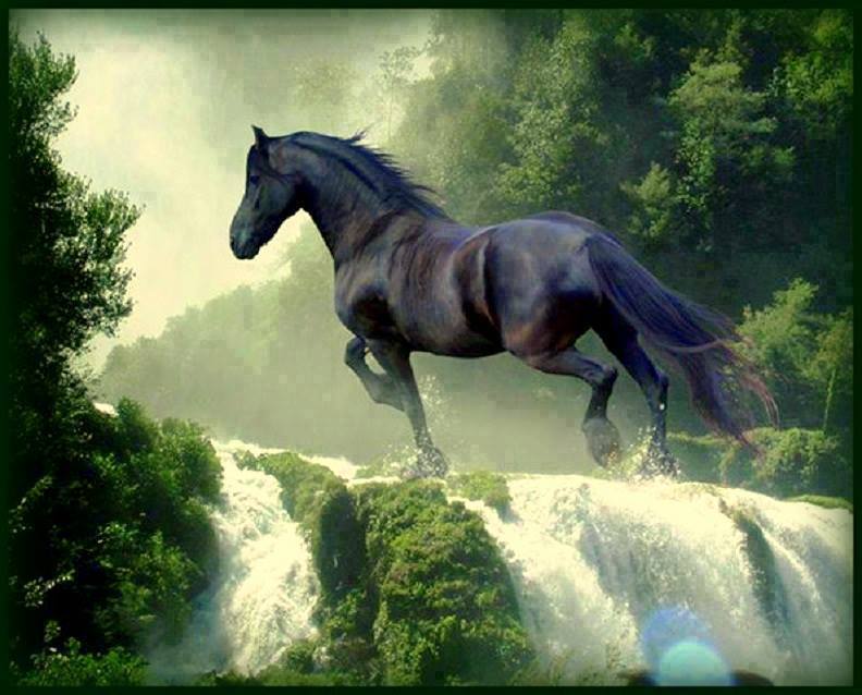 You Are Ing Right Now The Image Horse Wallpaper Background We
