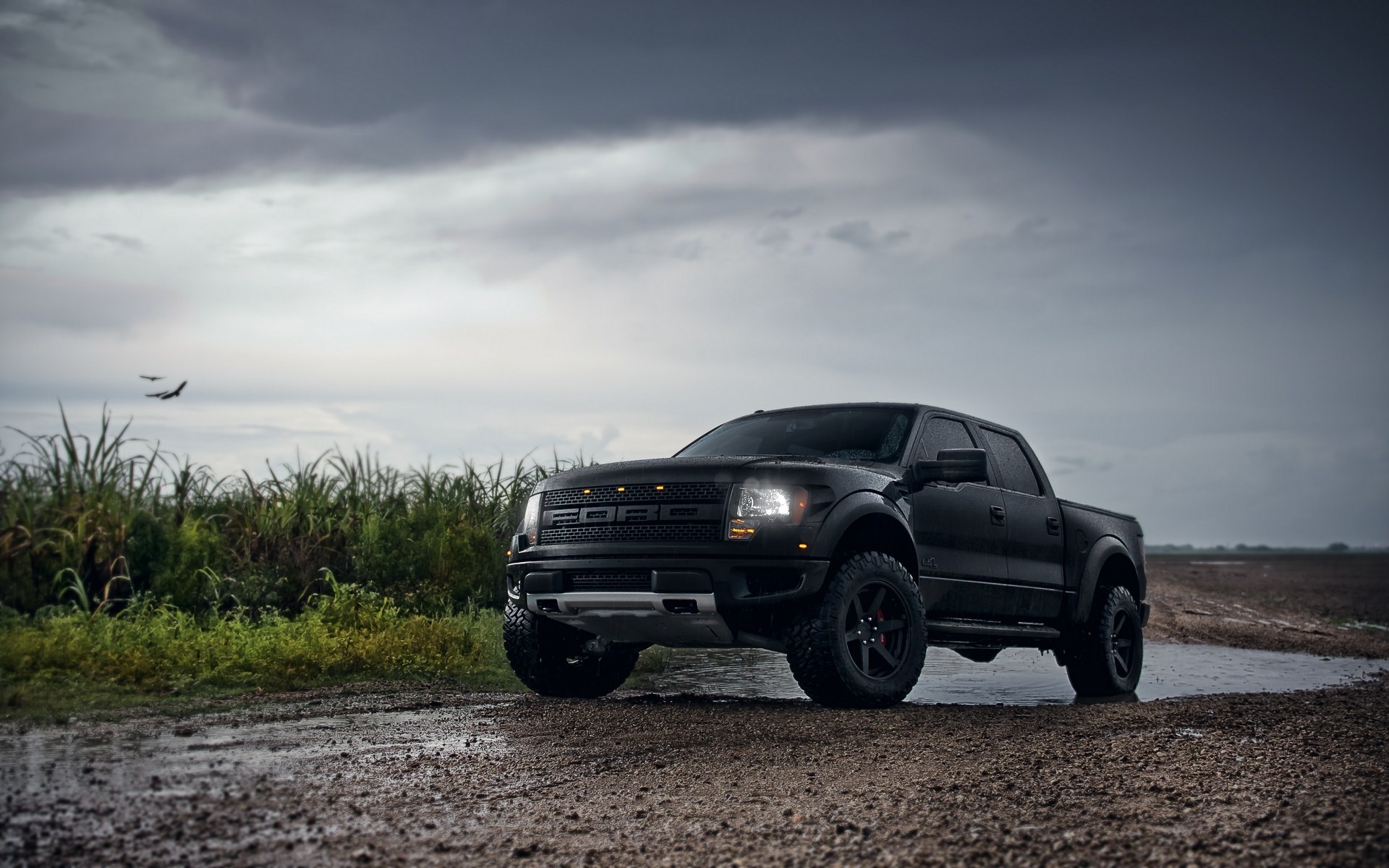 Ford Svt Raptor X Close