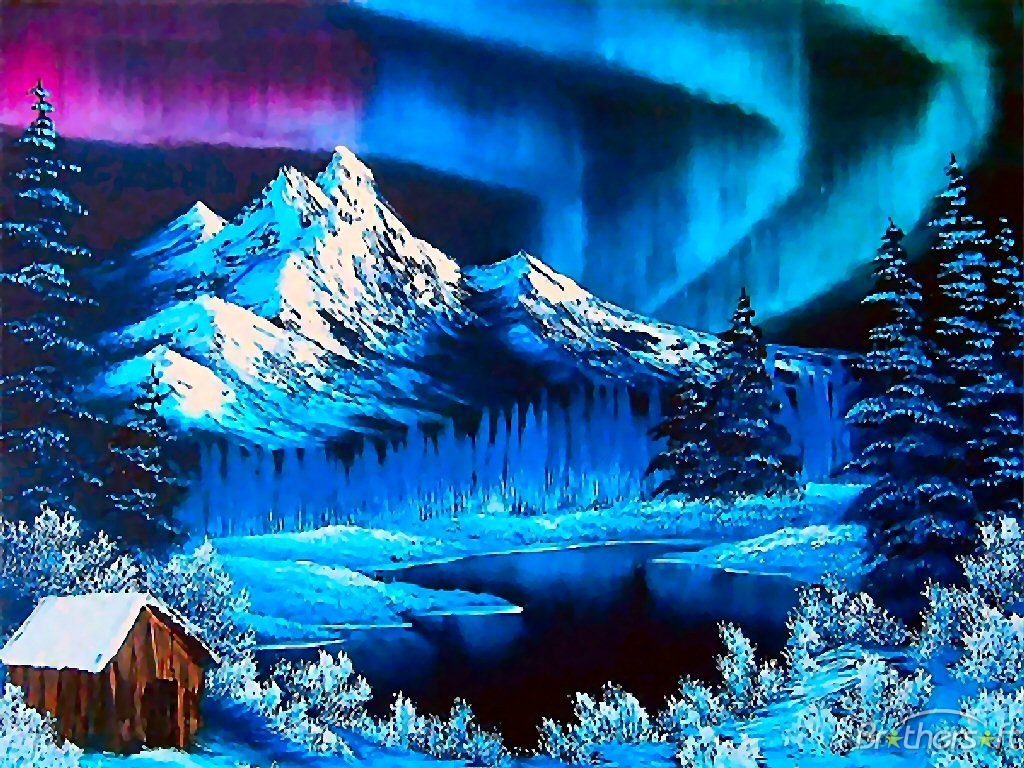 Northern Lights During The Winter Wallpaper Photo