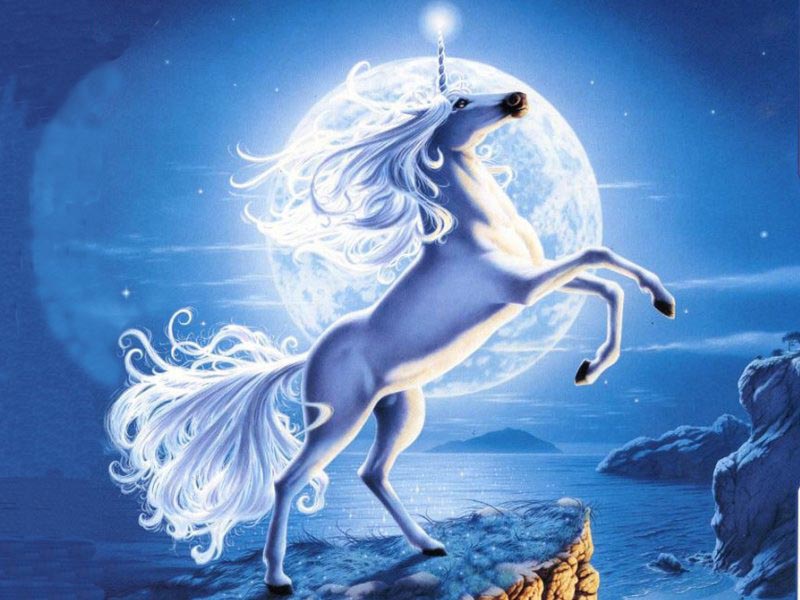 Wallpaper Twilight New Moon