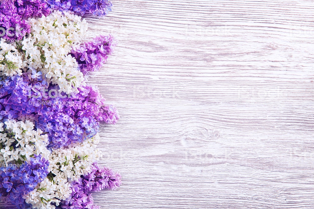 Lilac Flower Wood Background Blooms Pink Flowers Left Side Stock
