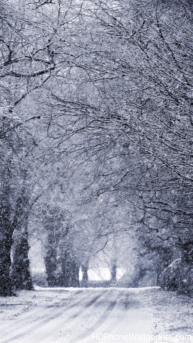 Winter Road iPhone Wallpaper