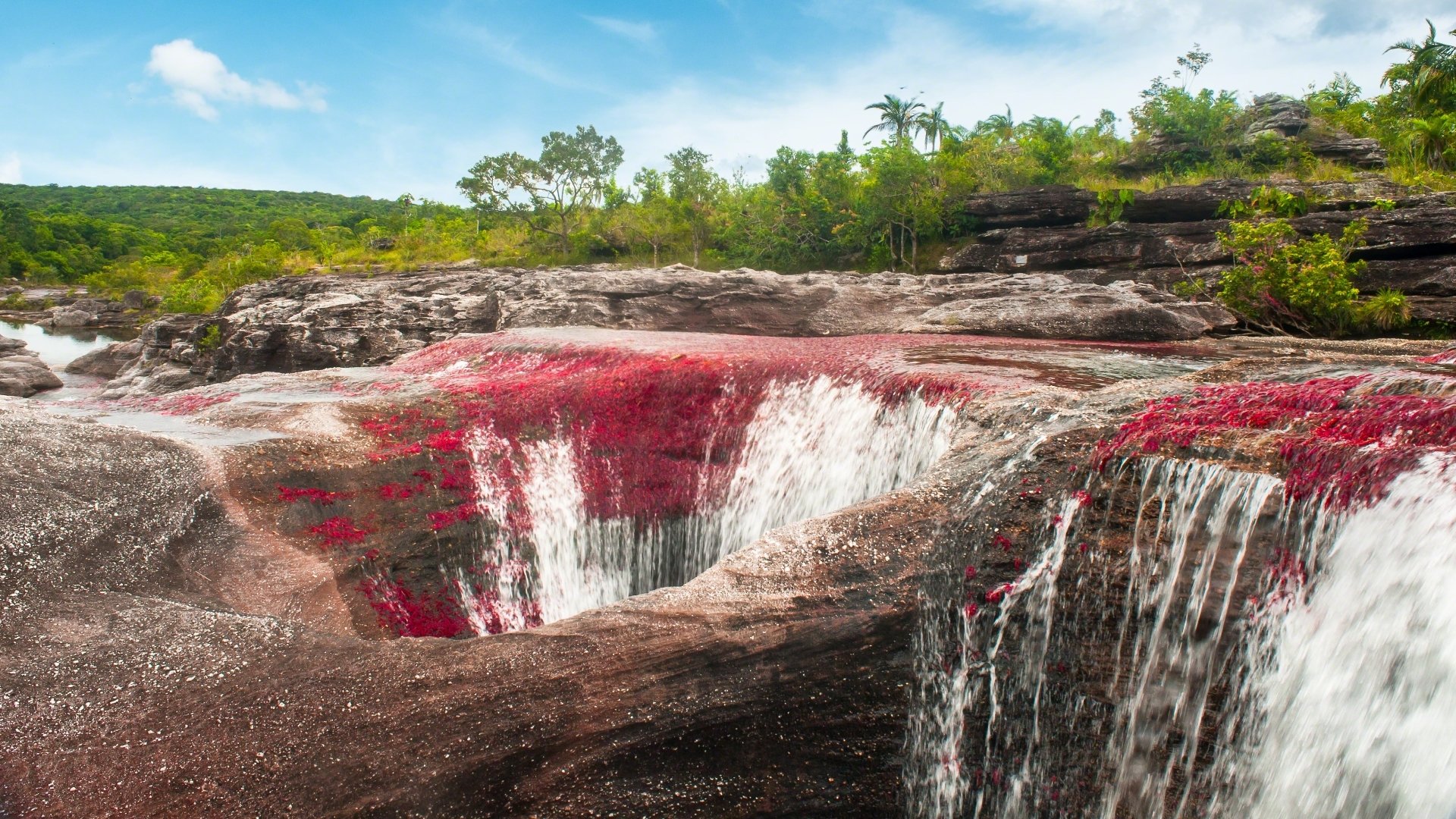 Ca O Cristales HD Wallpaper Background Image Id