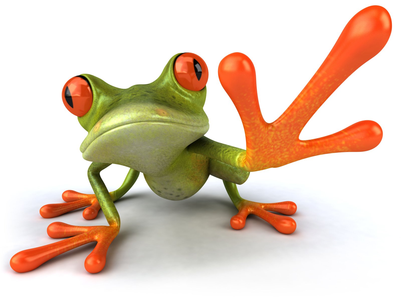 Green Frog Wallpaper Animals Desktop