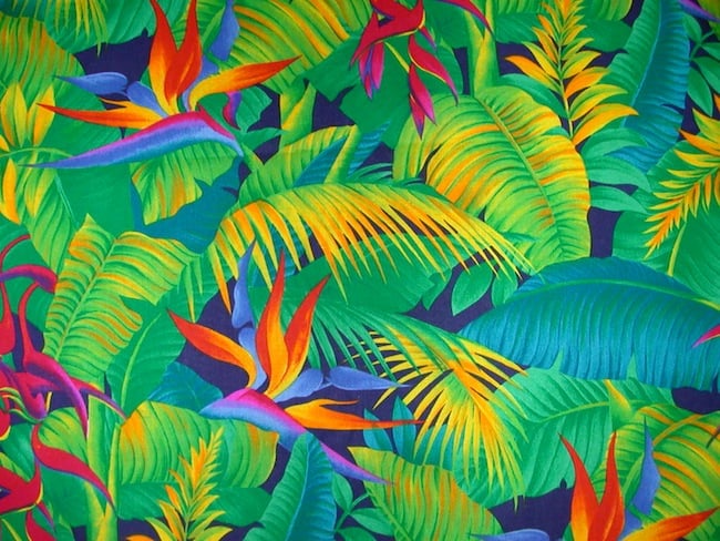Tendency   Tropical print 650x488