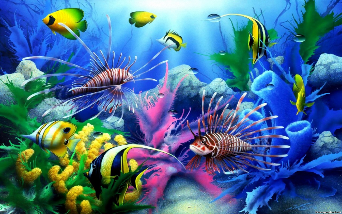 Sea Seabed Colorful Tropical Fish Coral Wallpaper HD For