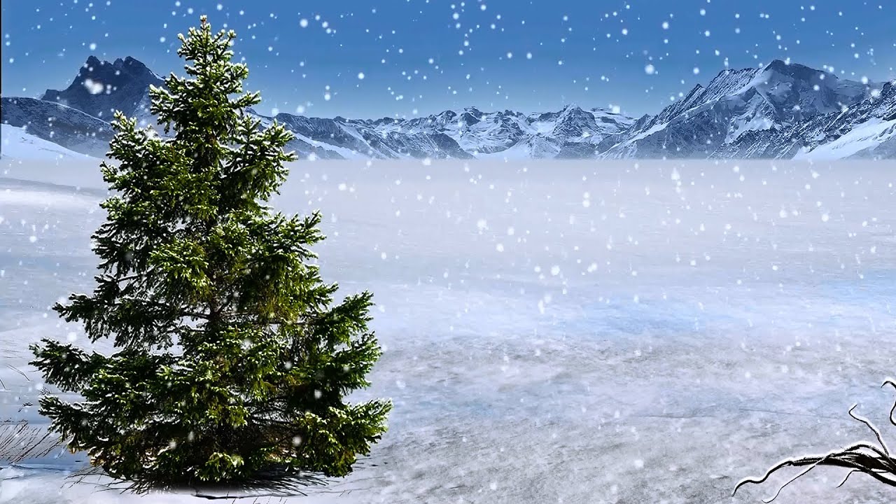 Winter Background With Snow