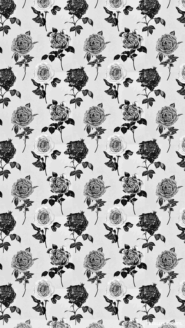 Black And White Roses iPhone Wallpaper Floral Desktop
