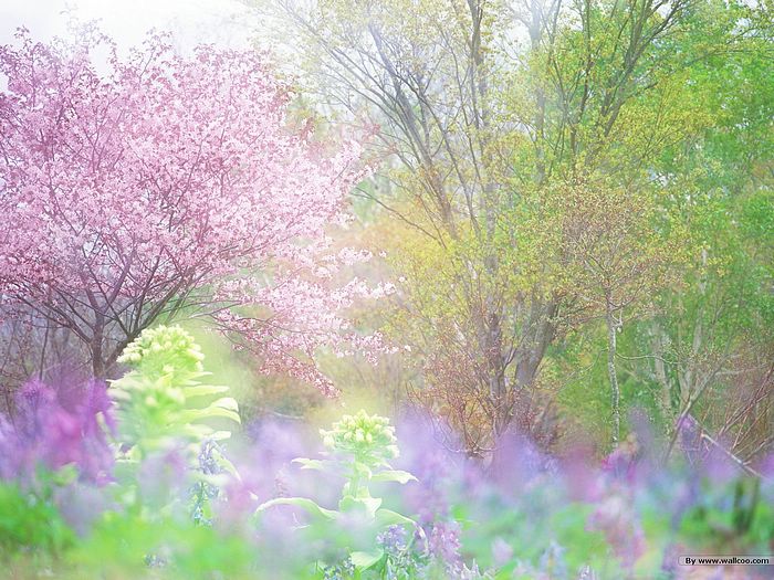 Spring Garden Soft Dreamy Scenery Wallcoo