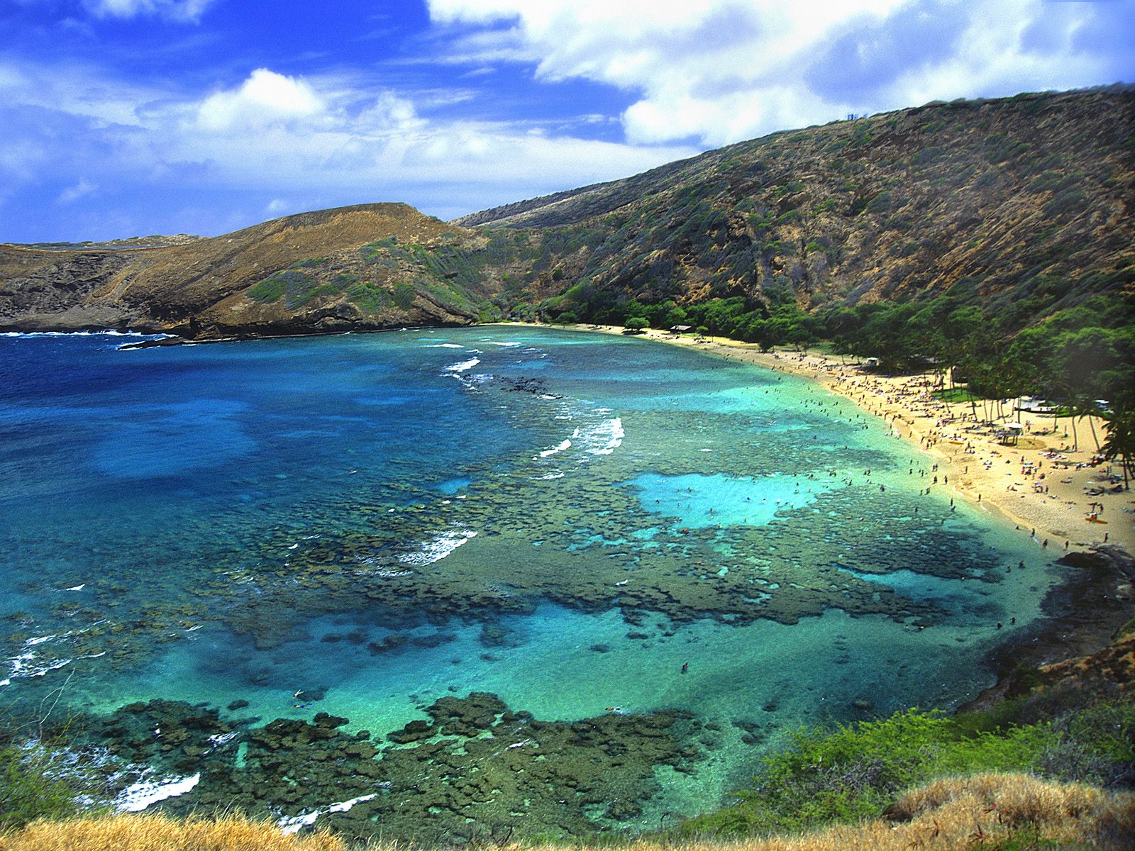 few things about the main Hawaiian islands   Travel Blog