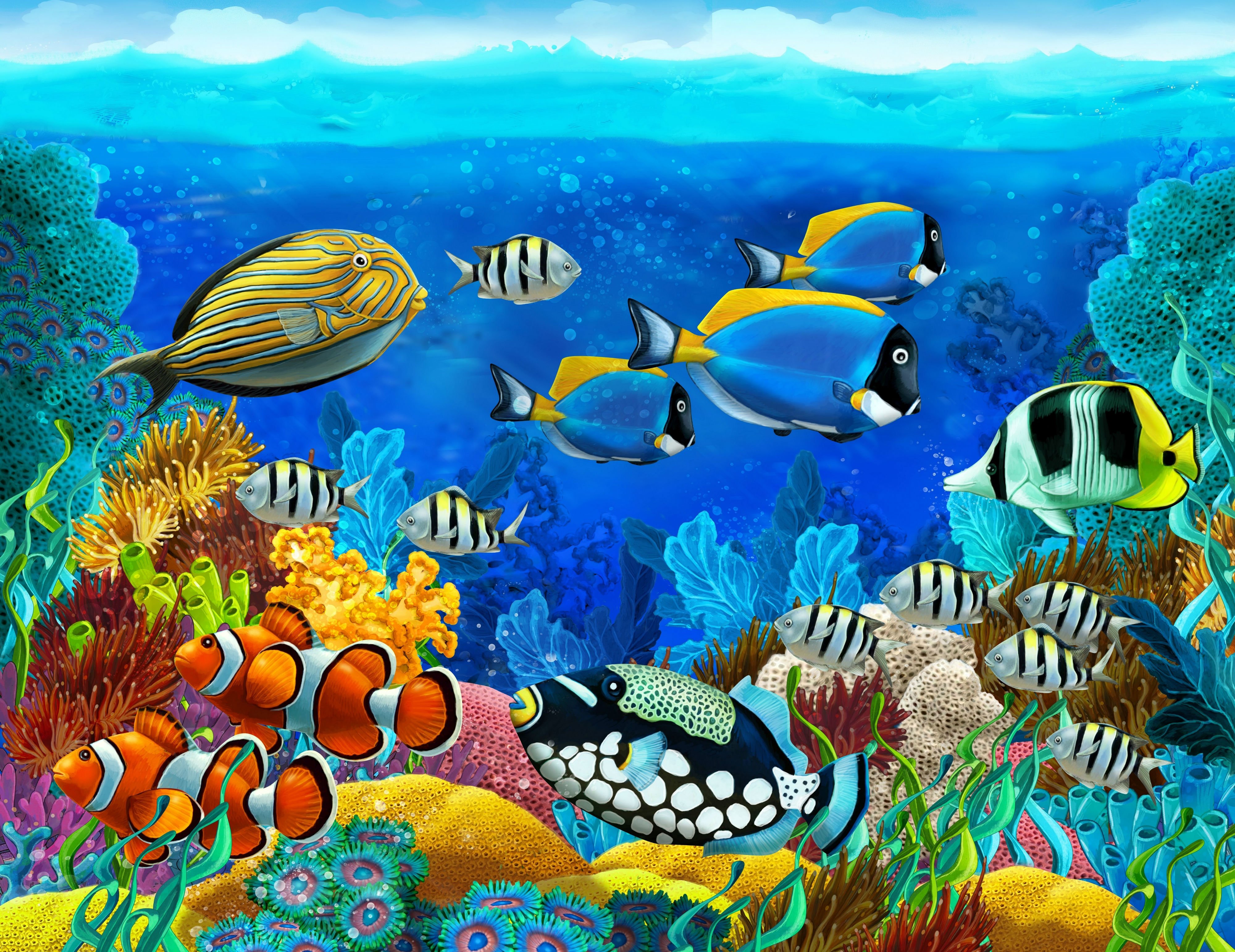 Sea Seabed Fish Corals Underwater Ocean Tropical G Wallpaper