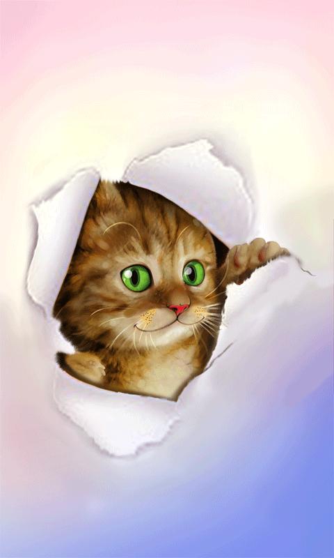 Silly Cat Live Wallpaper Android Apps On Google Play