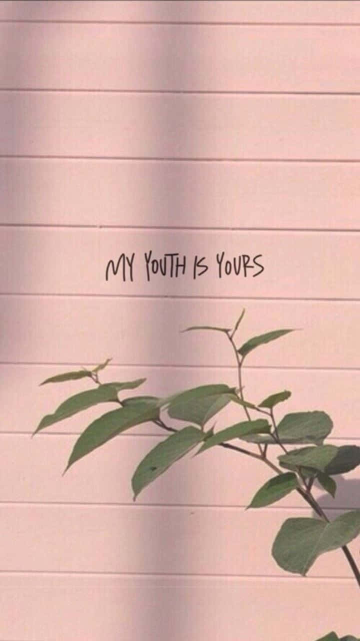Pink Aesthetic iPhone Wallpaper
