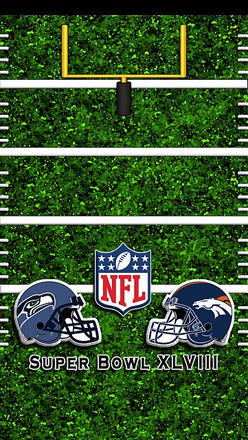 Super Bowl XLVIII i5superbowl field 2014 1jpg