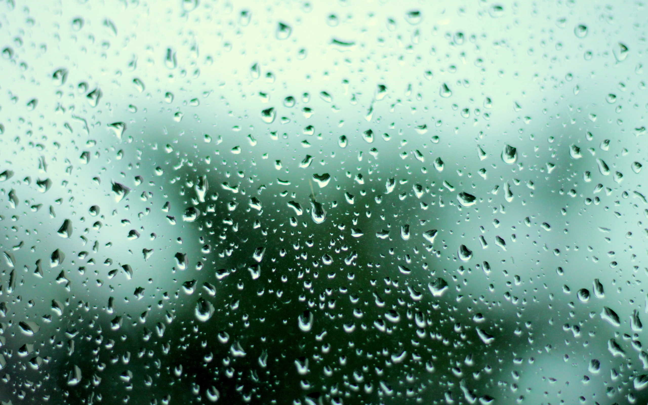 Close-up of raindrops on a windowpane, with a blurred green background