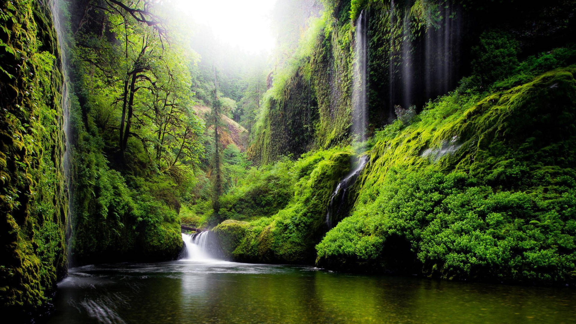 A lush green waterfall cascades down moss-covered cliffs into a tranquil pool in a forest setting