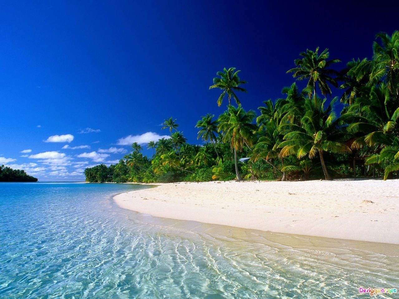 Photo Tropical Beach Desktop Wallpaper Sunset Beaches With Palm Trees