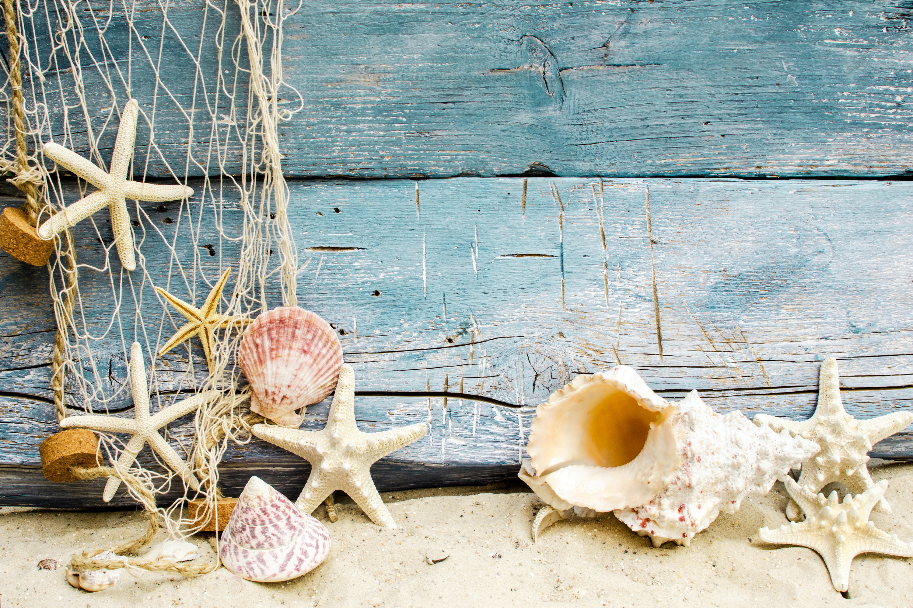 Wallpaper Seashells Starfishes Beach Sand Marine Wood Shells
