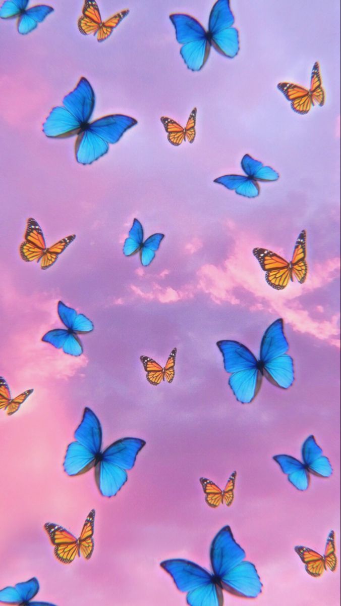 Butterfly Lock Screen Watercolor Wallpaper iPhone