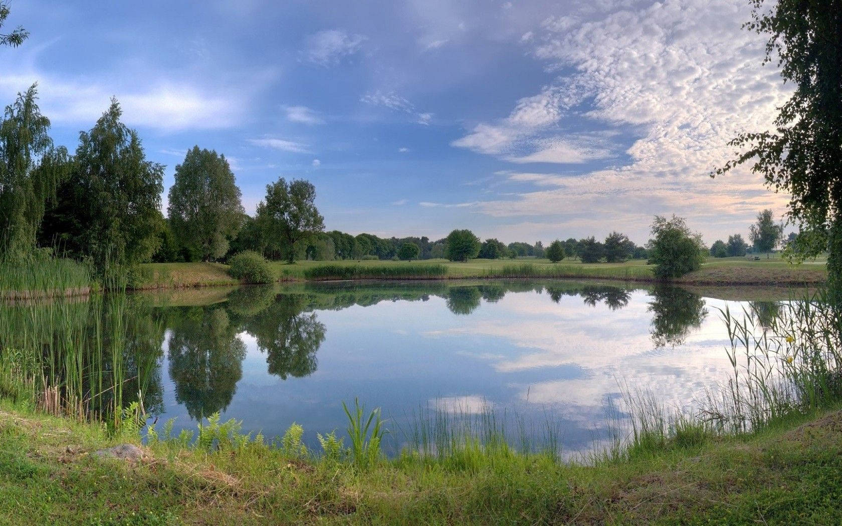 Lake With Trees Reflection Wallpaper