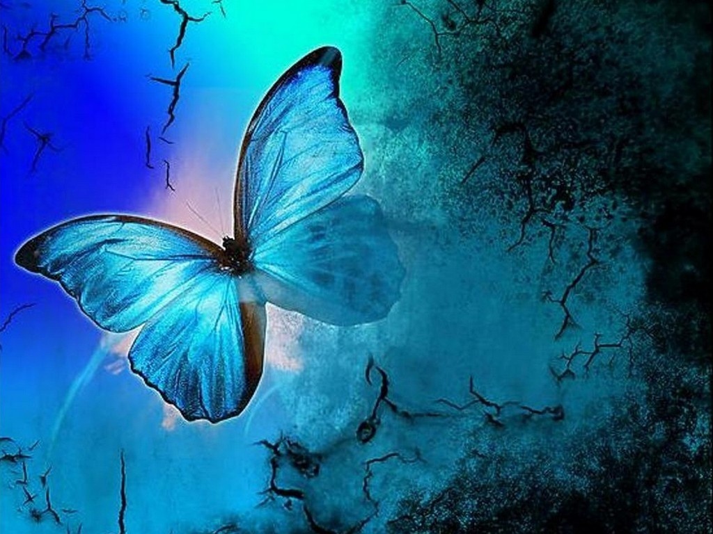 Shades Of Blue Butterflies Wallpaper
