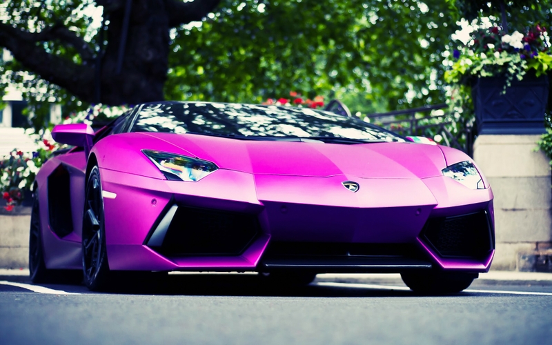 Pink Cars Lamborghini Aventador Lowangle Shot HD