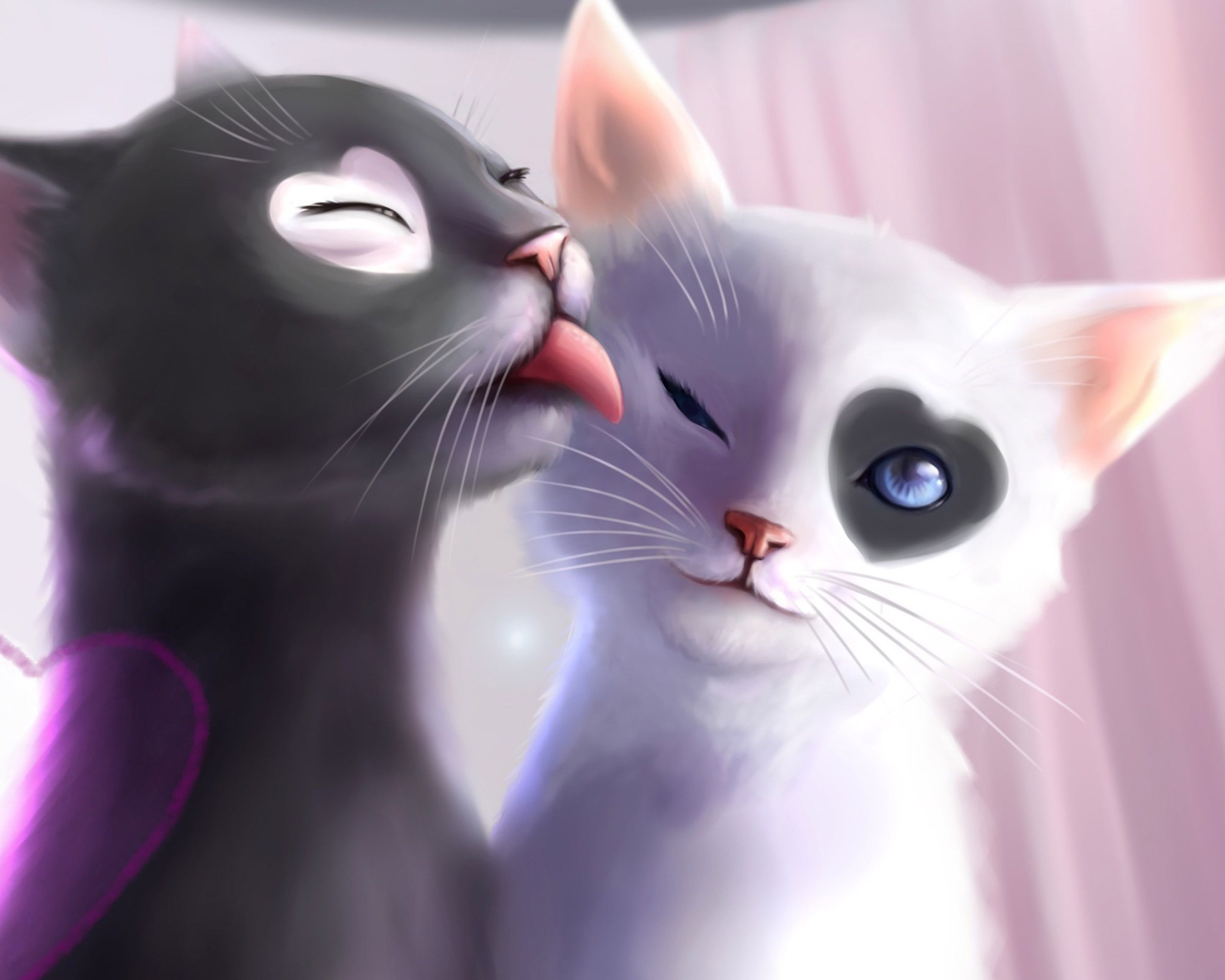 Cat Couples Wallpaper On