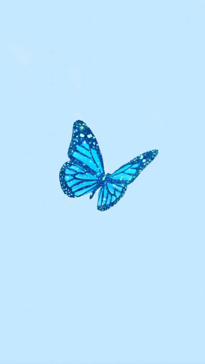 Free download Blue butterfly aesthetic wallpaper Butterfly wallpaper Blue  [720x1278] for your Desktop, Mobile & Tablet | Explore 29+ Soft Blue  Aesthetic Wallpapers | Soft Pink Wallpaper, Soft Backgrounds, Soft Pink  Backgrounds