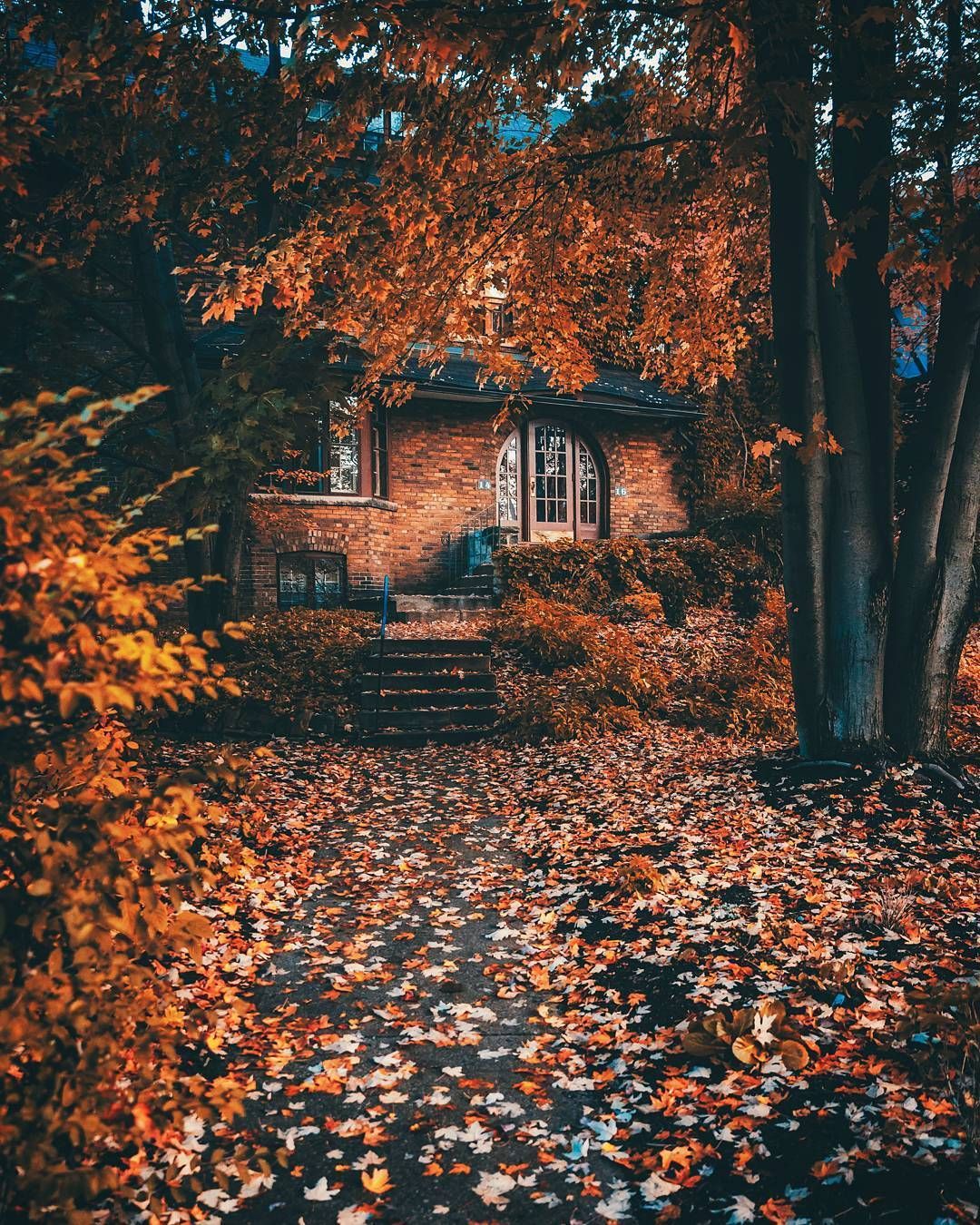 Autumn Cozy Wallpaper