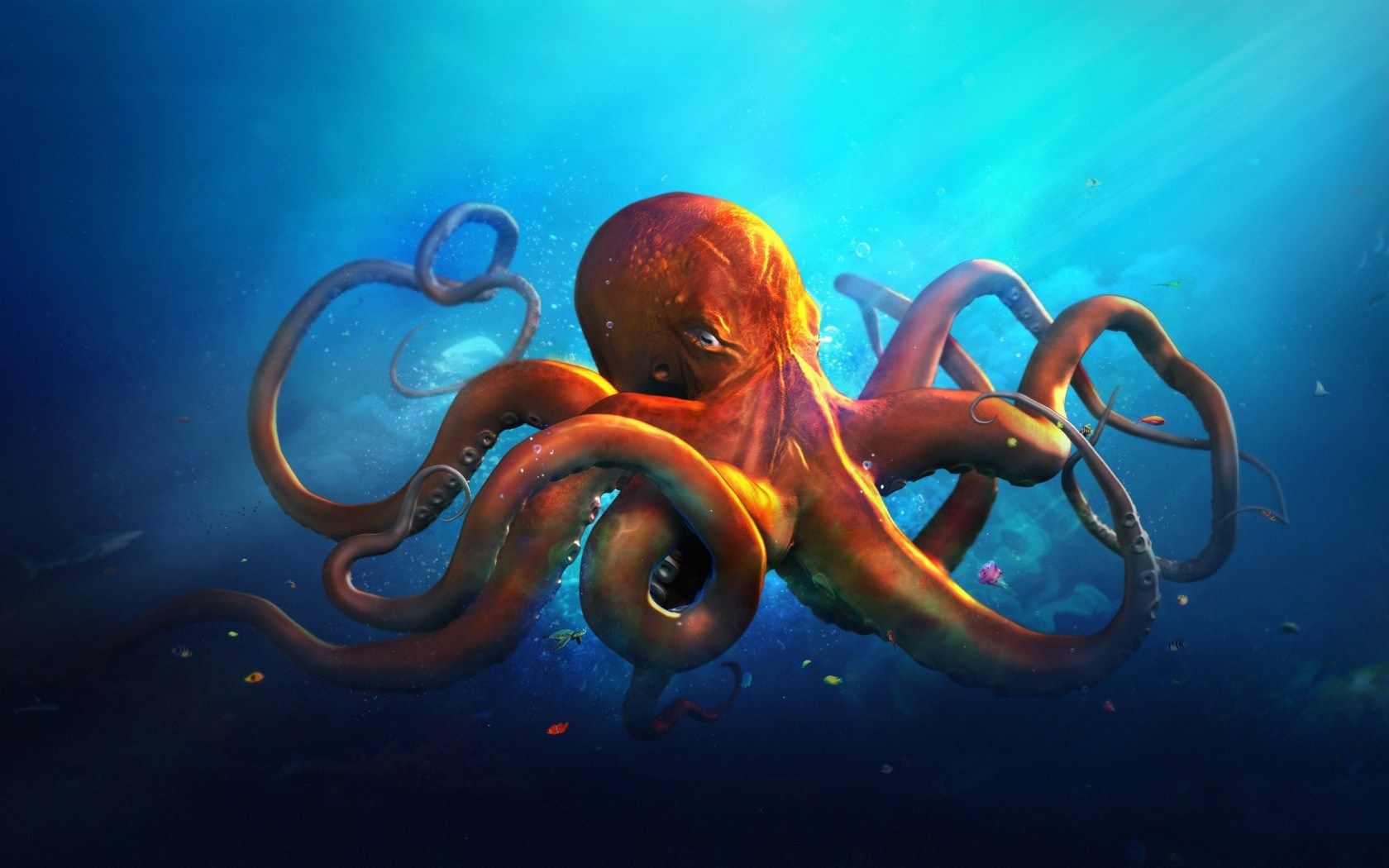 Octopus Art Drawing HD Background Cephalopods Everywhere