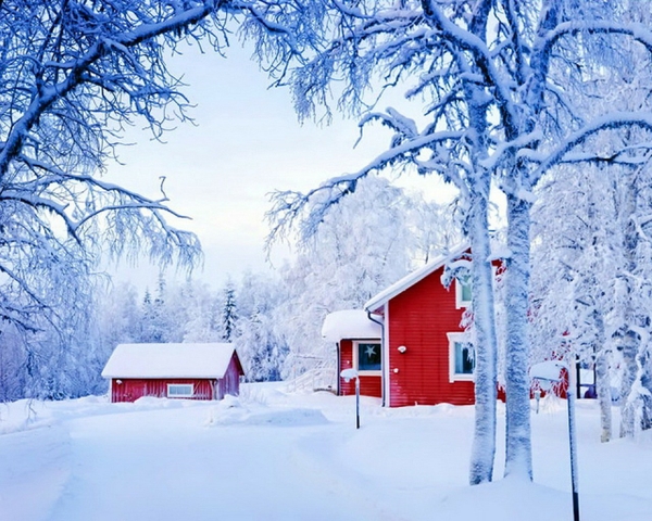 Cottage Rest Snowy Trees Houses Wallpaper Desktop
