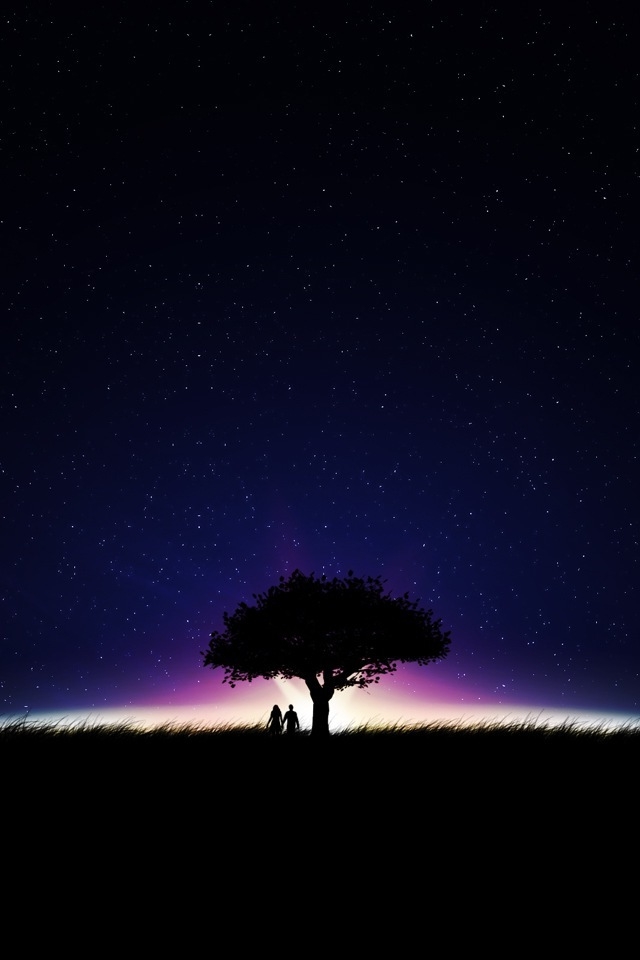 Starry Night iPhone HD Wallpaper