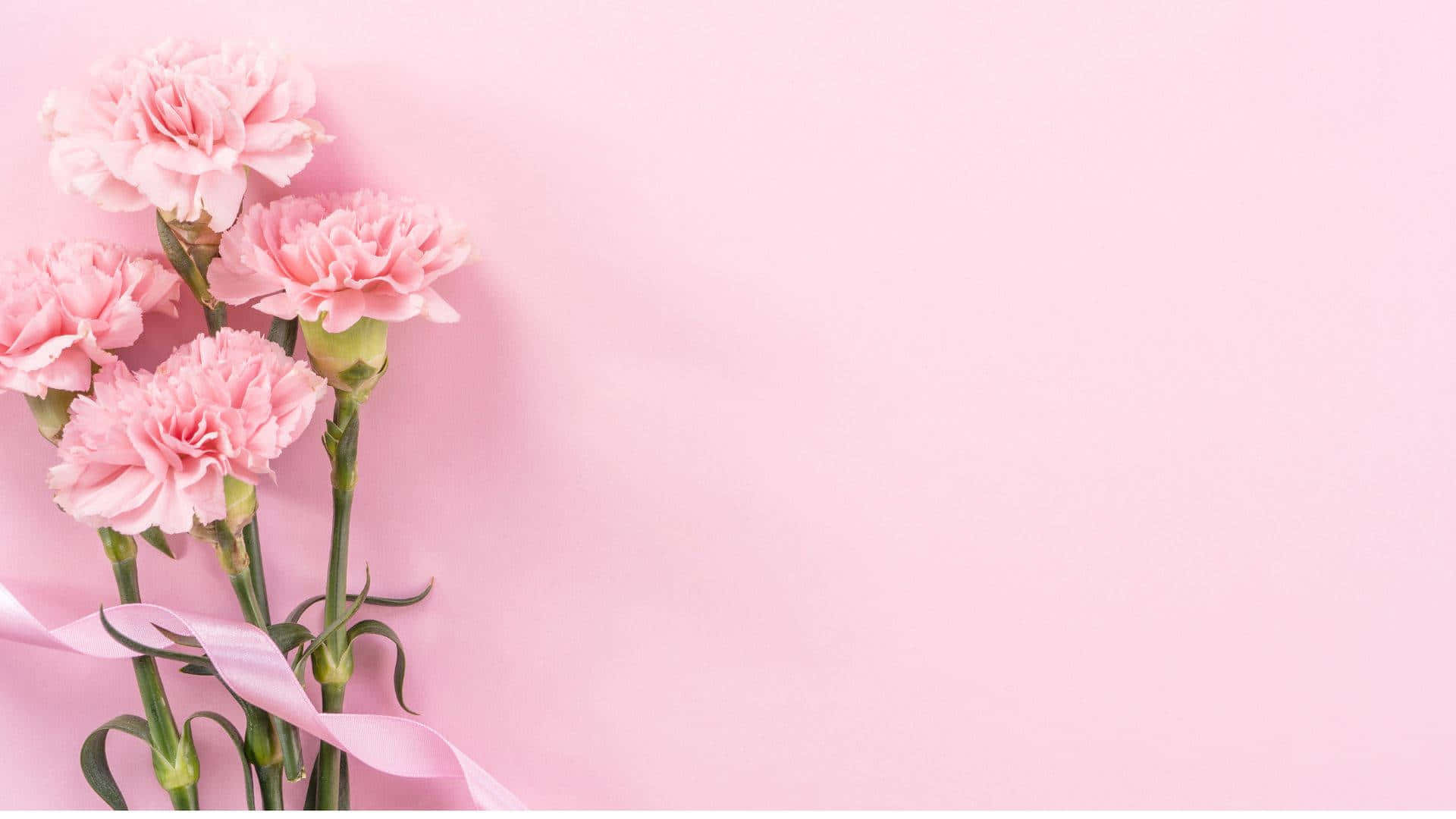 Baby Pink Wallpaper Design