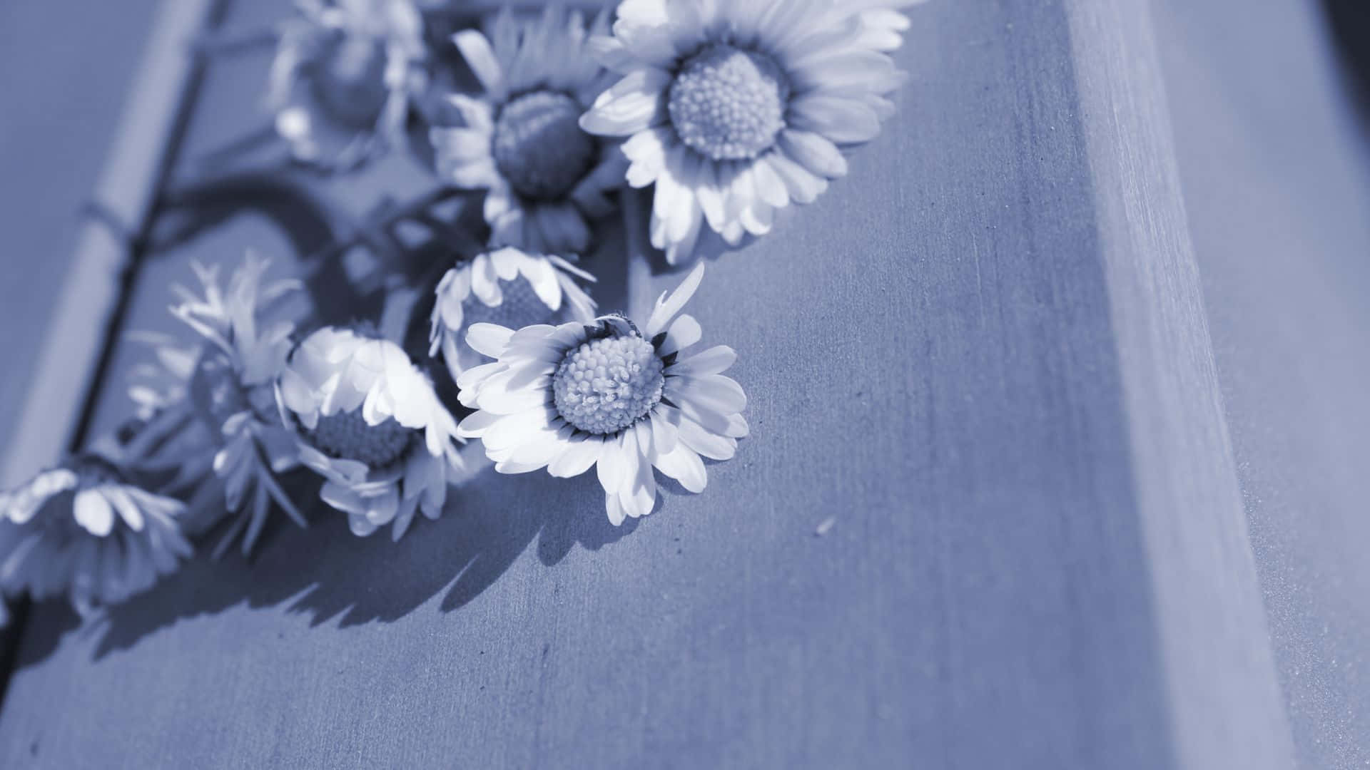 Condolences For Those Affected By Tragedy Wallpaper