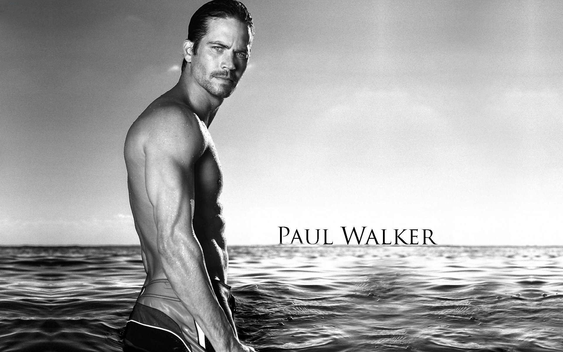 Of The Best High Quality Paul Walker Wallpaper HD Is