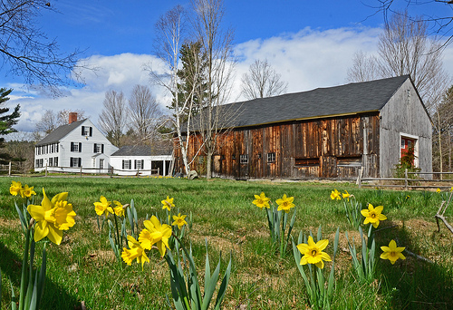 Spring on the farm Flickr   Photo Sharing 500x342